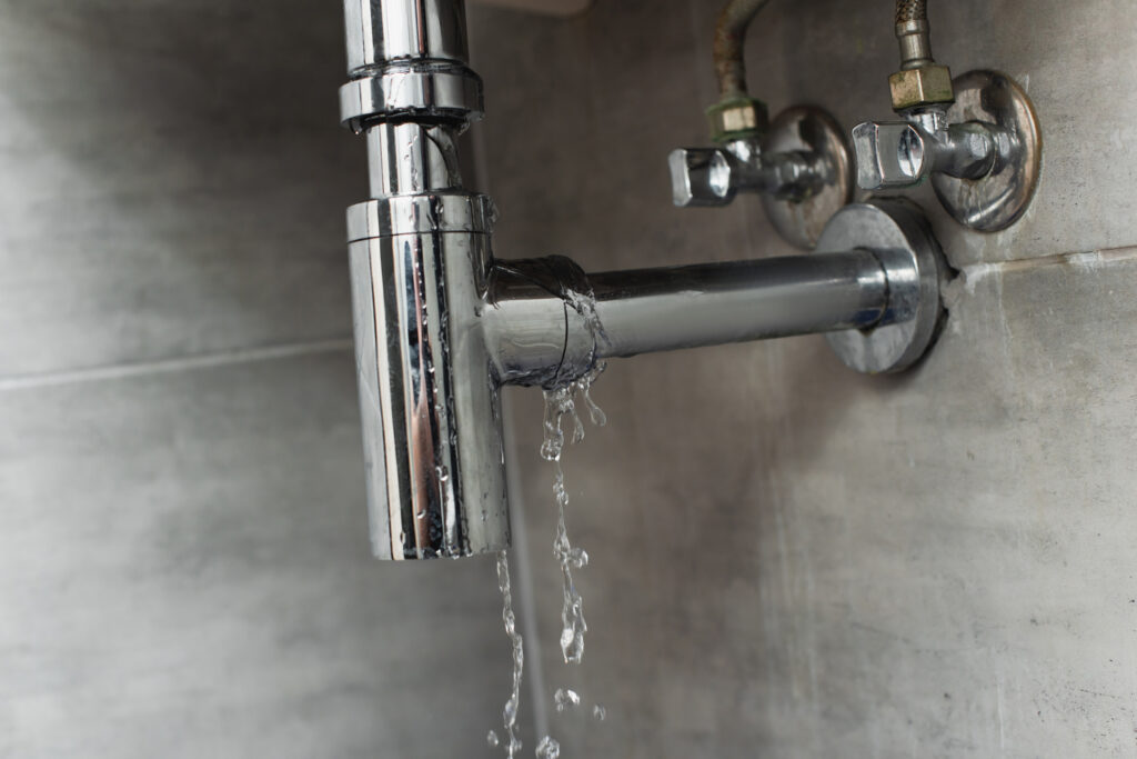 Unseen Leak? Protect Your Quakertown Home with Expert Detection